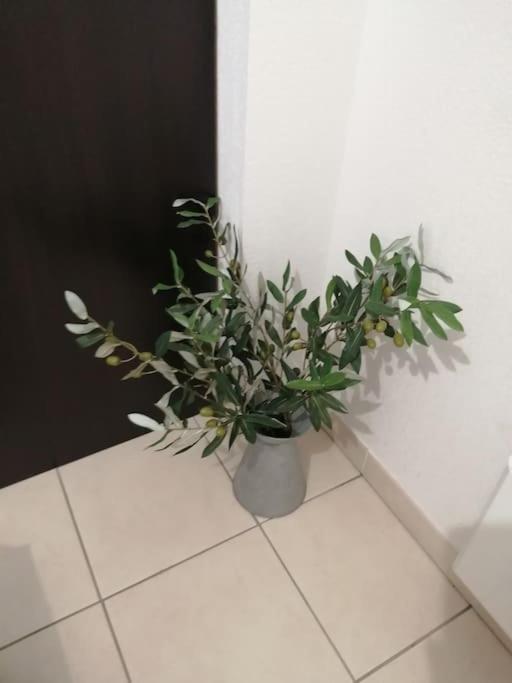 Le Soleil D Eugenie Appartement Dans Residence Avec Piscine Commune Pres De Carcassonne Olonzac Zewnętrze zdjęcie