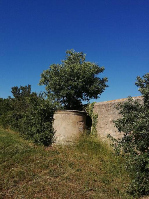 Le Soleil D Eugenie Appartement Dans Residence Avec Piscine Commune Pres De Carcassonne Olonzac Zewnętrze zdjęcie