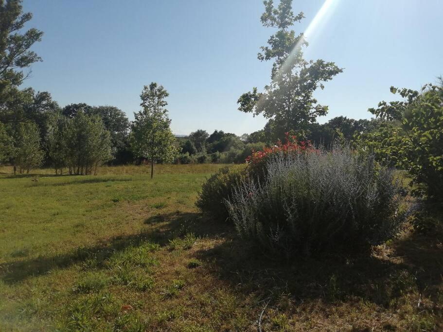 Le Soleil D Eugenie Appartement Dans Residence Avec Piscine Commune Pres De Carcassonne Olonzac Zewnętrze zdjęcie