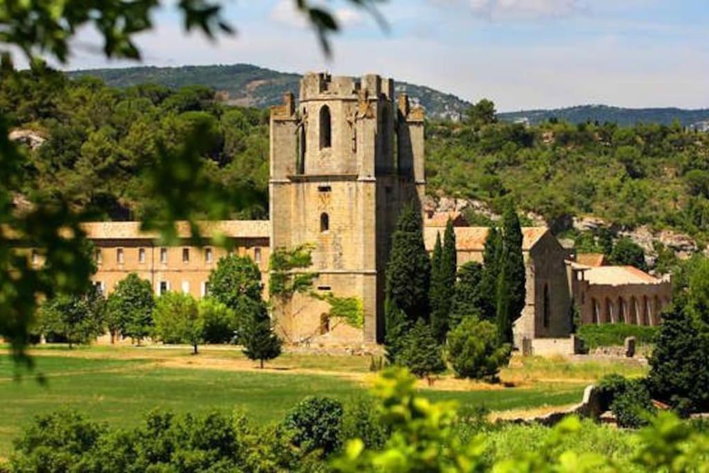 Le Soleil D Eugenie Appartement Dans Residence Avec Piscine Commune Pres De Carcassonne Olonzac Zewnętrze zdjęcie