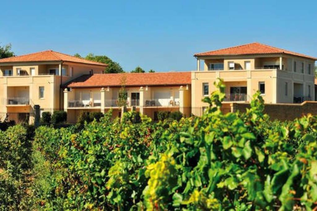 Le Soleil D Eugenie Appartement Dans Residence Avec Piscine Commune Pres De Carcassonne Olonzac Zewnętrze zdjęcie