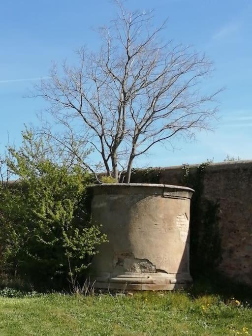 Le Soleil D Eugenie Appartement Dans Residence Avec Piscine Commune Pres De Carcassonne Olonzac Zewnętrze zdjęcie